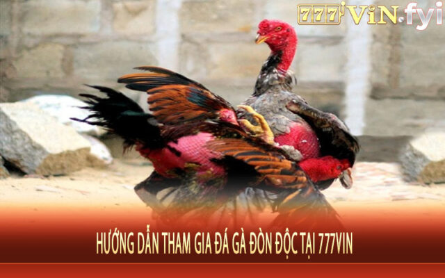 Hướng Dẫn Tham Gia Đá Gà Đòn Độc tại 777vin